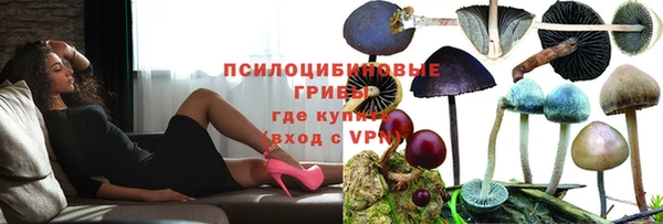 МДПВ Ельня