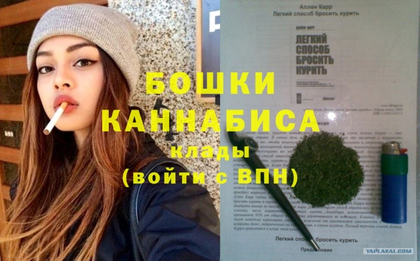 МДПВ Ельня