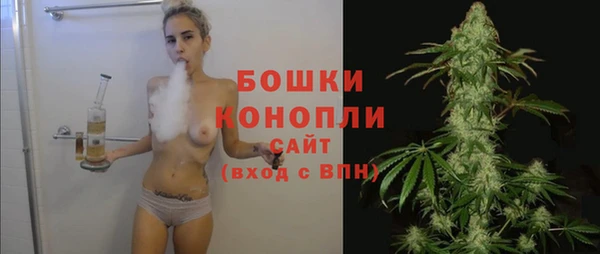 МДПВ Ельня