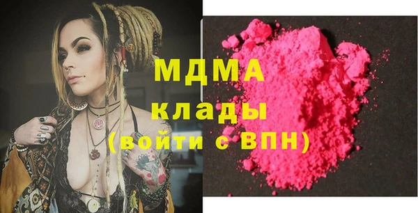 МДПВ Ельня