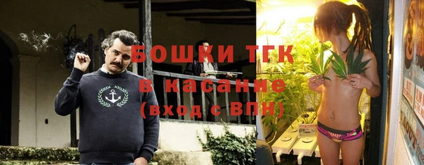 МДПВ Ельня