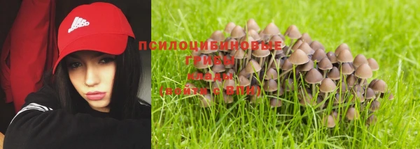 ГАЛЛЮЦИНОГЕННЫЕ ГРИБЫ Елизово
