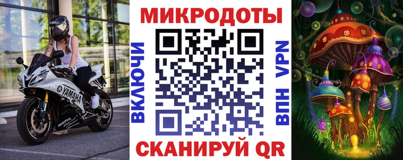 Псилоцибиновые грибы Psilocybe  где купить наркотик  Рудня 